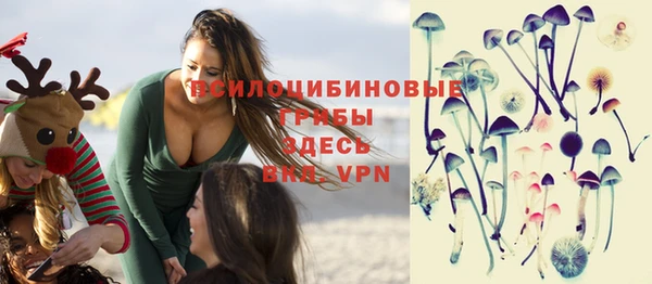spice Абаза