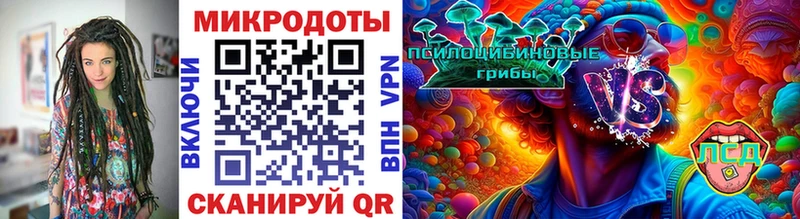 Галлюциногенные грибы мухоморы  Котельнич 