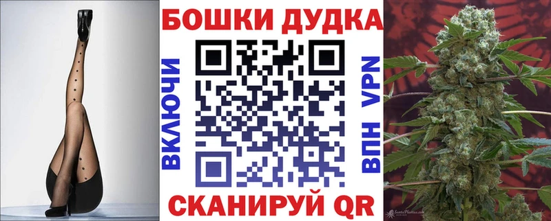 магазин продажи наркотиков  Котельнич  Каннабис план 
